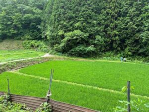 ギフテッド・高感受性の子どもの「見えにくい困りごと」を共同生活から見立てる、各回3名限定の合宿を開催