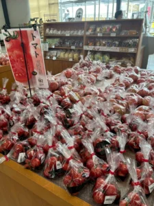 神石高原町 体験型修学旅行｜広島（2泊3日） 写真34