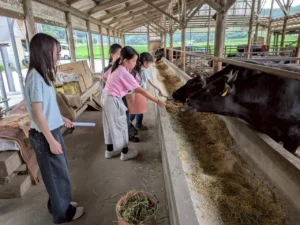 神石高原町 体験型修学旅行｜広島（2泊3日） 写真6