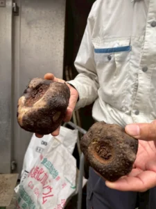 神石高原町 体験型修学旅行｜広島（2泊3日） 写真31